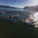 Club de Natación Orcas de Aysén continúan con entrenamientos.