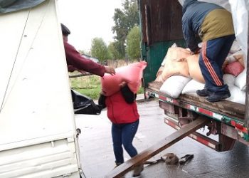 36 Usuarios Prodesal reciben bono FOA gestionados por la Municipalidad de Lago Verde.