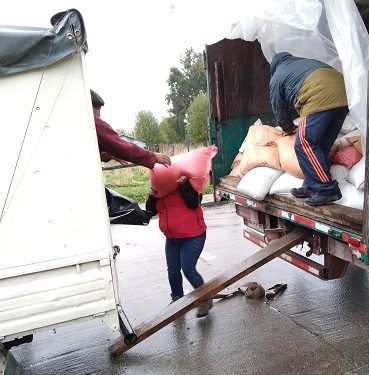 36 Usuarios Prodesal reciben bono FOA gestionados por la Municipalidad de Lago Verde.