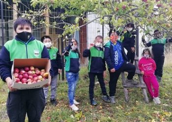 Bajo el sello “educar para la vida” profesores y estudiantes de Mallín Grande realizan proceso para deshidratar frutas.