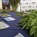 PDI y Fiscalía incautan plantas de cannabis sativa desde invernaderos y detienen a tres personas.