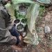 Carabineros de Cochrane indaga invernadero con plantas de marihuana en predio particular.