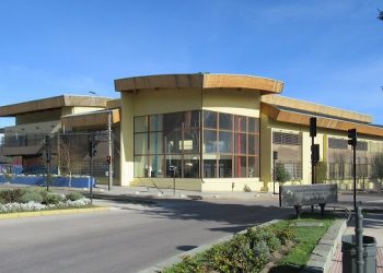 Corporación Cultural Municipal de Coyhaique desarrolla escuela de espectadores y funciones de teatro online.