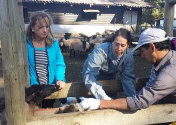 FIA abre curso sobre creación de cooperativas hasta el 3 de mayo para todos los agricultores de Chile