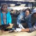 FIA abre curso sobre creación de cooperativas hasta el 3 de mayo para todos los agricultores de Chile