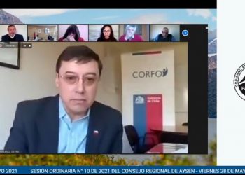 Director de Corfo Aysén: “Lo lamentamos por los prestadores de servicios acuícolas de la región”