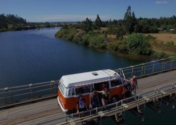 Trashumantes abre convocatoria para la primera versión de su Encuentro de Gestores