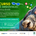 Seremi del Medio Ambiente Aysén invita a jóvenes y adultos a crear “memes” para tomar conciencia de la calidad del aire