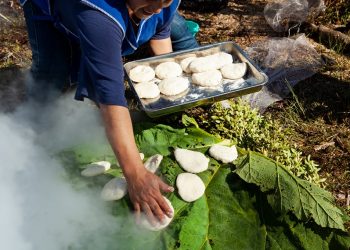 Día del Patrimonio: Fundación para la Innovación Agraria destaca 7 libros con sabores y culturas que identifican a Chile