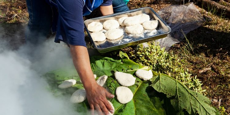 Día del Patrimonio: Fundación para la Innovación Agraria destaca 7 libros con sabores y culturas que identifican a Chile