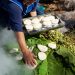 Día del Patrimonio: Fundación para la Innovación Agraria destaca 7 libros con sabores y culturas que identifican a Chile