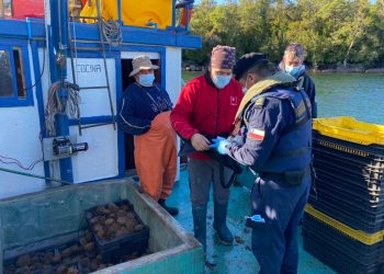 Autoridad Marítima y Sernapesca incautaron 200 kilos de kilos de erizo en el área de Aysén