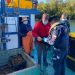 Autoridad Marítima y Sernapesca incautaron 200 kilos de kilos de erizo en el área de Aysén