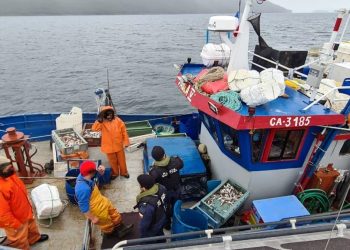 Armada y Sernapesca en trabajo conjunto incautan tres toneladas de merluza desde tres embarcaciones provenientes de la Región de Los Lagos
