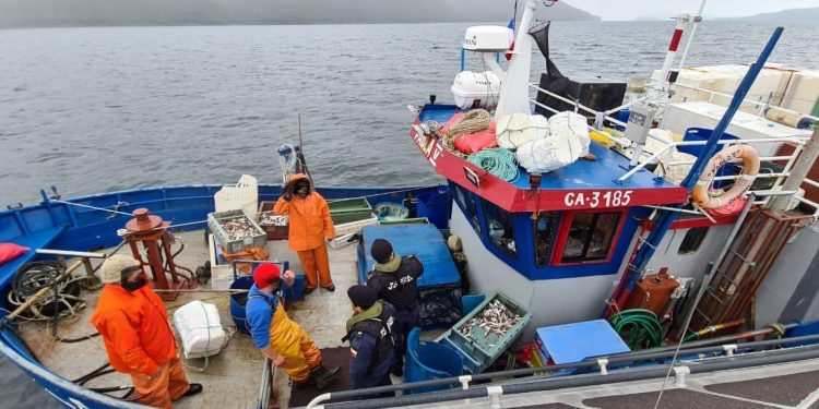 Armada y Sernapesca en trabajo conjunto incautan tres toneladas de merluza desde tres embarcaciones provenientes de la Región de Los Lagos
