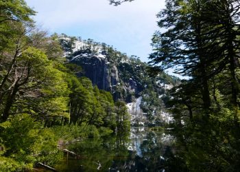 8 de cada 10 chilenos estima que la nueva constitución debe contar con una mirada ecológica