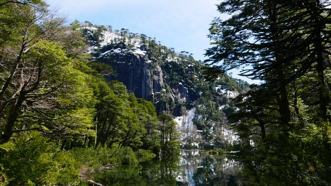 8 de cada 10 chilenos estima que la nueva constitución debe contar con una mirada ecológica