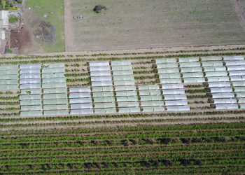 Cinco innovaciones agrícolas de vanguardia que responden al cambio climático