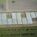 Cinco innovaciones agrícolas de vanguardia que responden al cambio climático