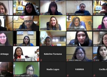 Dirigentas/es y funcionarias/os municipales participaron en talleres sobre Violencia de Género de SernamEG que se enmarca en Programa Plan de Seguridad Pública Comunal