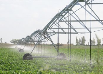 Minagri lanza Programa Nacional para el Fomento de la Agricultura 4.0