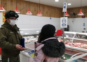 Carabineros de Coyhaique previene el abigeato e insta a consumidores a no adquirir productos cárnicos de origen desconocido