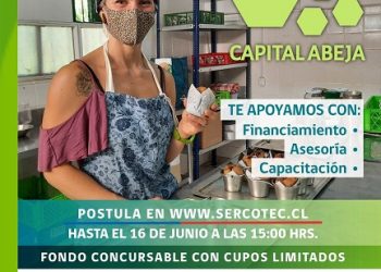 Capital Abeja Emprende 2021 de Sercotec inicia sus postulaciones