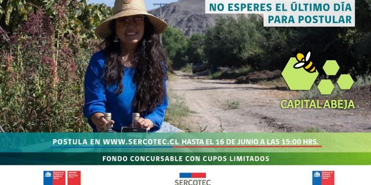 Este miércoles finaliza postulación al Capital Abeja 2021