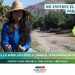 Este miércoles finaliza postulación al Capital Abeja 2021