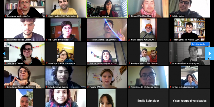 Lanzamiento de Red Disidente Constituyente reúne a 30 organizaciones LGBTIQ+ de todo el país en primer encuentro virtual
