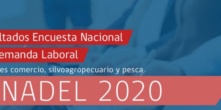 Sence publica los resultados de la tercera Encuesta Nacional de Demanda Laboral a través del Observatorio Laboral de Aysén