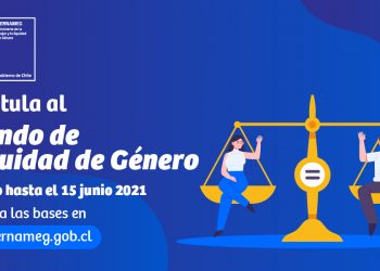 SernamEG inicia el proceso de postulación a su Fondo de Equidad de Género