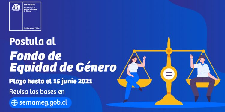 SernamEG inicia el proceso de postulación a su Fondo de Equidad de Género