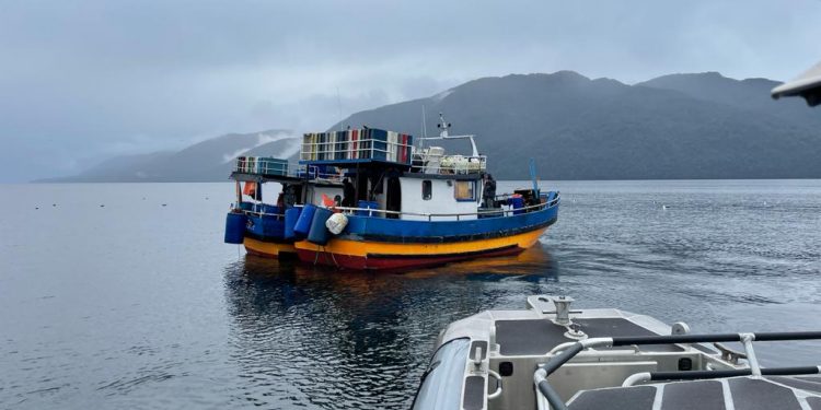 Autoridad Marítima y Sernapesca incautan más de 1400 kilos de merluza del sur en el área de Aysén