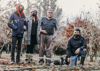 Producción de la trufa chilena rumbo a la consolidación internacional