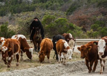 El aporte cultural, la innovación, eficiencia hídrica y el trabajo productivo en Zonas Extremas fueron reconocidos en la ceremonia virtual del Día del Campesino organizada por INDAP Aysén
