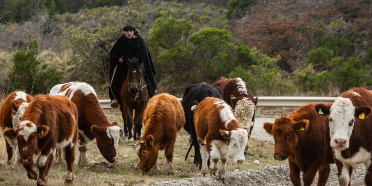 El aporte cultural, la innovación, eficiencia hídrica y el trabajo productivo en Zonas Extremas fueron reconocidos en la ceremonia virtual del Día del Campesino organizada por INDAP Aysén