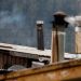 Diputado Calisto denuncia abandono por parte del Gobierno en materia de contaminación atmosférica y pide medidas concretas