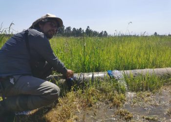 FIA fortalece la innovación agraria impulsando nueva convocatoria de estudios