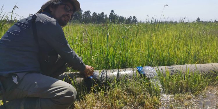 FIA fortalece la innovación agraria impulsando nueva convocatoria de estudios