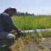 FIA fortalece la innovación agraria impulsando nueva convocatoria de estudios
