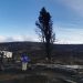 PDI y Fiscalía indagan el origen del incendio en Parque Nacional Patagonia