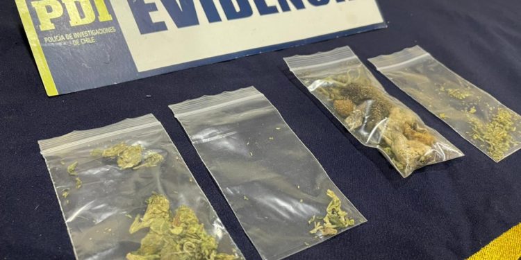 PDI detuvo a tres personas por el delito de microtráfico en Villa Mañihuales