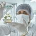 ¿Cómo influye la compensación vegetal nativa tras el cambio climático? Biotecnólogos analizan sinergia