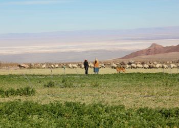 Pequeños agricultores de todo Chile participaron en talleres para construir nuevas estrategias ante el cambio climático