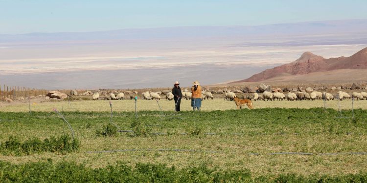 Pequeños agricultores de todo Chile participaron en talleres para construir nuevas estrategias ante el cambio climático