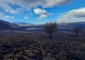Incendio Forestal Ñandú en Cochrane se encuentra controlado y afectado 1.273 hectáreas