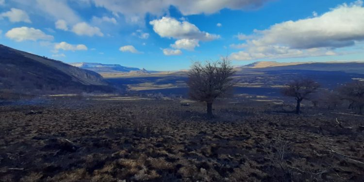 Incendio Forestal Ñandú en Cochrane se encuentra controlado y afectado 1.273 hectáreas