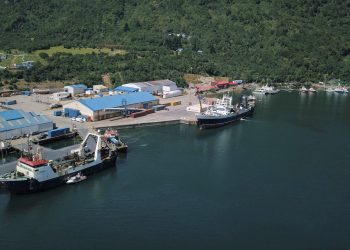El crecimiento colaborativo, integral y sustentable fue tratado en el primer encuentro del Consejo Ciudad Puerto del año 2021