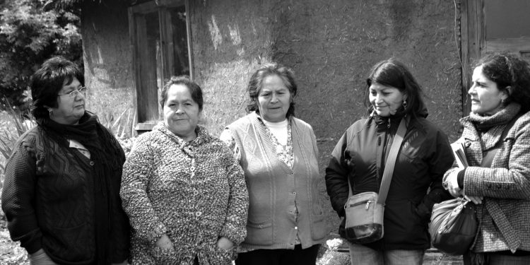 Editorial Pehuén presenta libro de Elisa Loncón sobre relatos de la tradición oral mapuche